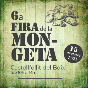 Fira de la mongeta de Castellfollit