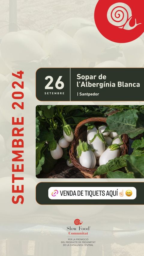 Sopar albergínia blanca